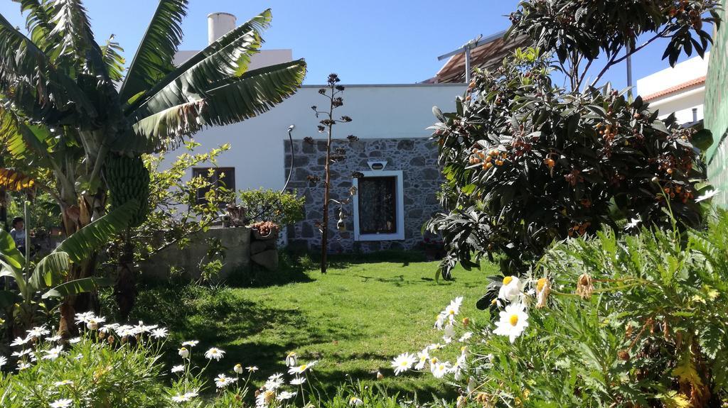 Villa Canaria Piscina Jacuzzi Jardin Santa Maria de Guia de Gran Canaria المظهر الخارجي الصورة