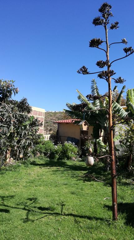 Villa Canaria Piscina Jacuzzi Jardin Santa Maria de Guia de Gran Canaria المظهر الخارجي الصورة