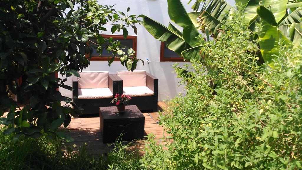 Villa Canaria Piscina Jacuzzi Jardin Santa Maria de Guia de Gran Canaria المظهر الخارجي الصورة