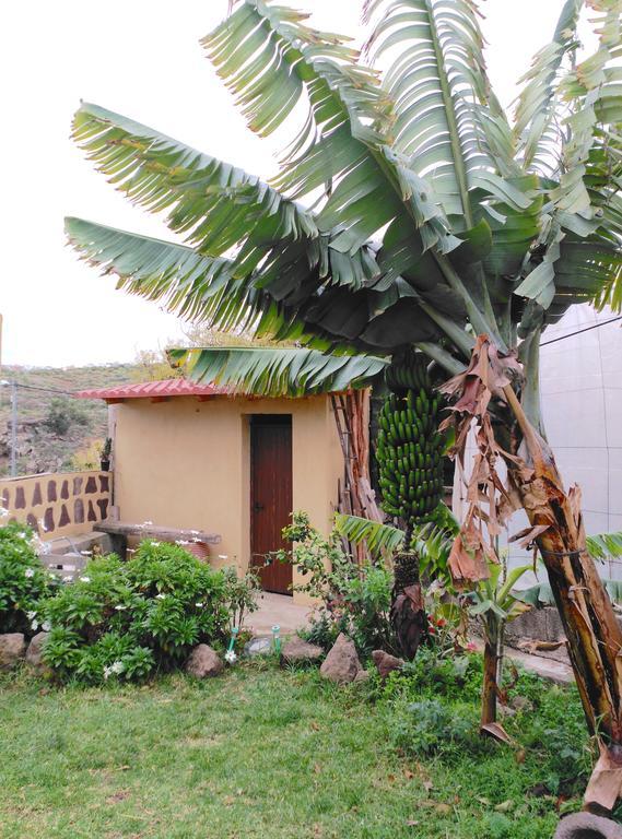 Villa Canaria Piscina Jacuzzi Jardin Santa Maria de Guia de Gran Canaria المظهر الخارجي الصورة