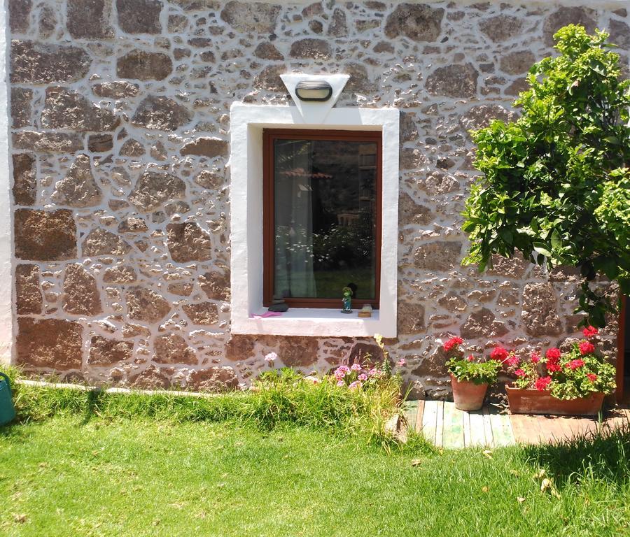 Villa Canaria Piscina Jacuzzi Jardin Santa Maria de Guia de Gran Canaria المظهر الخارجي الصورة