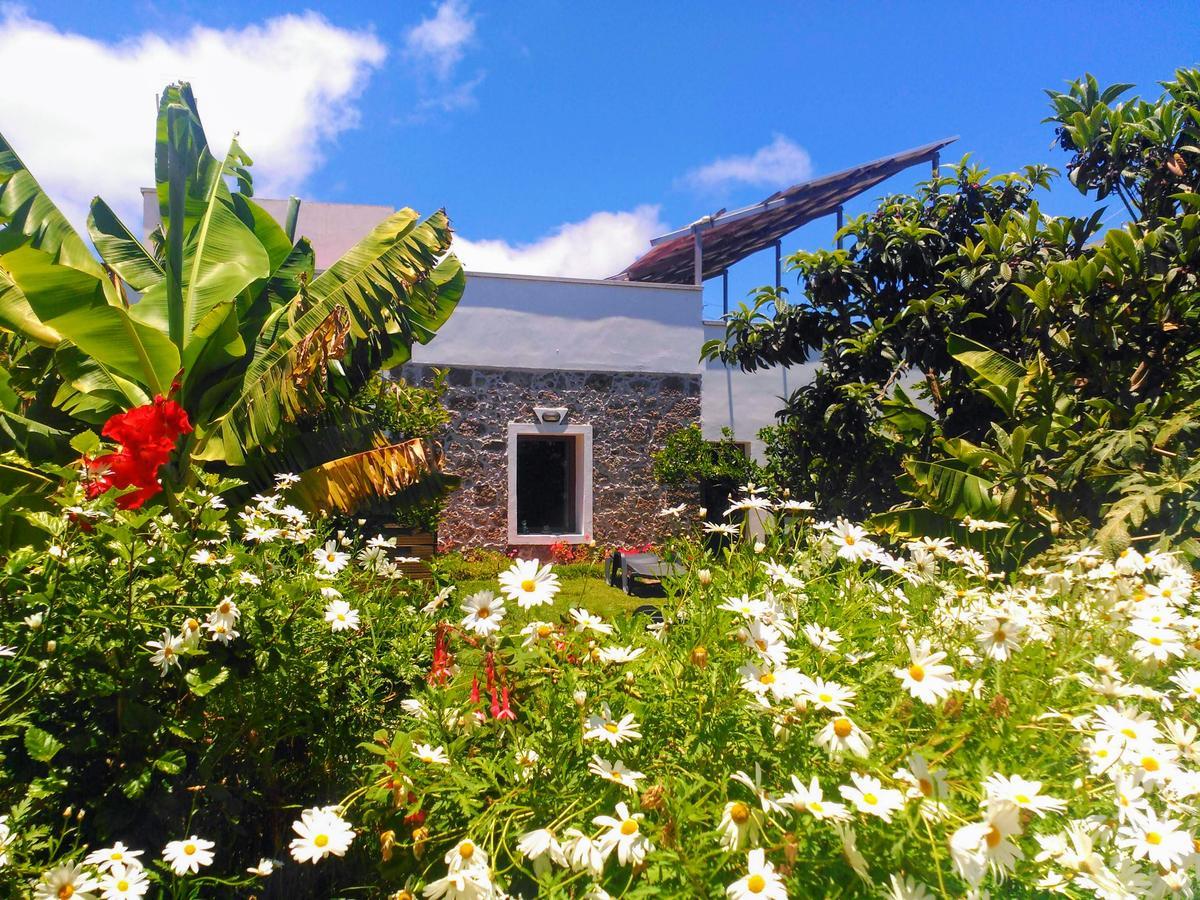 Villa Canaria Piscina Jacuzzi Jardin Santa Maria de Guia de Gran Canaria المظهر الخارجي الصورة