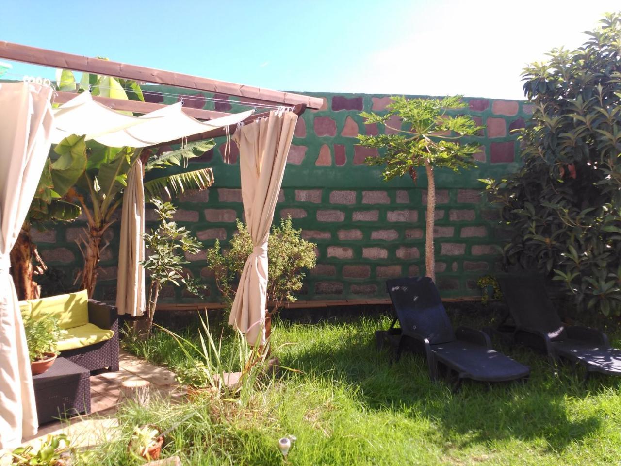 Villa Canaria Piscina Jacuzzi Jardin Santa Maria de Guia de Gran Canaria المظهر الخارجي الصورة
