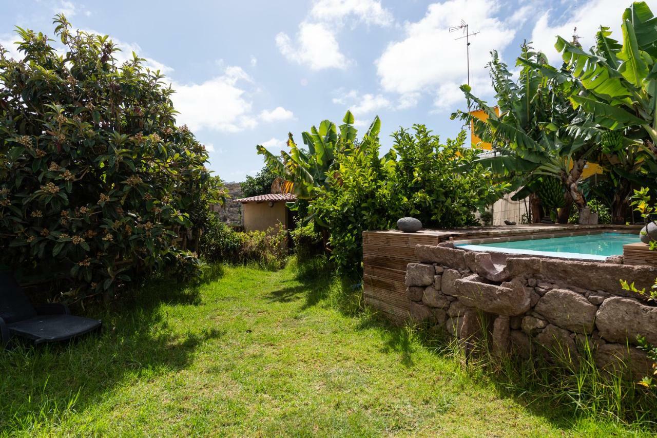 Villa Canaria Piscina Jacuzzi Jardin Santa Maria de Guia de Gran Canaria المظهر الخارجي الصورة